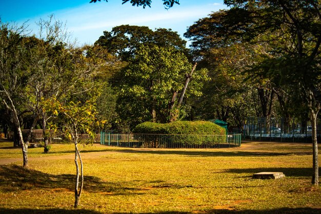 写真 ブラジリア動物園ブラジルの動物の美しい景色