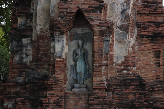 写真 タイのアユタヤにあるワットマハタート寺院の美しい景色