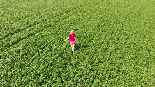 写真 美しい若い金の女の子が若い小麦の畑を歩いています
