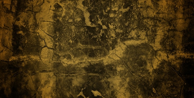 写真 黒と金の背景に亀の絵が描かれています。