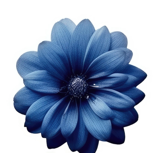 Foto a blue flower with a black center that says 
