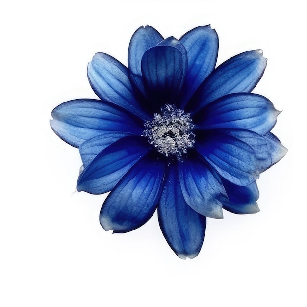 Фото Голубой цветок с белым центром, на котором написано 