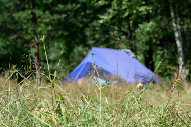 写真 キャンプ旅行中の青いテントのぼんやりしたシルエットが晴れた夏の日に前景に焦点を当てています