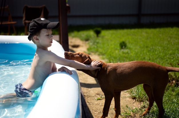 Фото Мальчик в бассейне гладит подошедшую к нему собаку щенок венгерской выжлы
