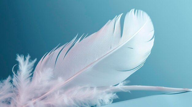 写真 ソフトで夢のようなパステルのスタイルで 1 つの白い羽を持つ明るい青色の背景 きらめく光の効果 自然にインスパイアされたイメージ フェアリーコア ソフト フォーカル ポイントは ai を生成します