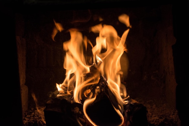 写真 暖炉には明るい火が燃えています。白樺の木。
