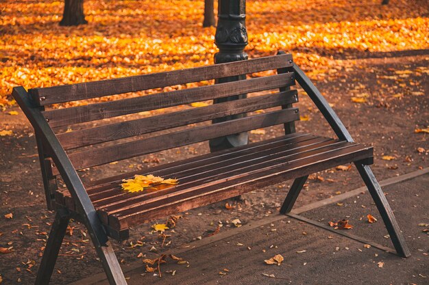 Фото Коричневая деревянная скамейка в городском парке с опавшими осенними листьями.