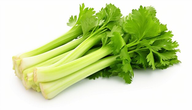 写真 a bunch of celery is shown on a white background