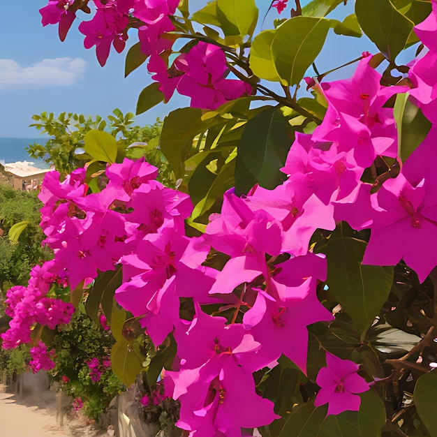 写真 a bush with purple flowers and green leaves on it