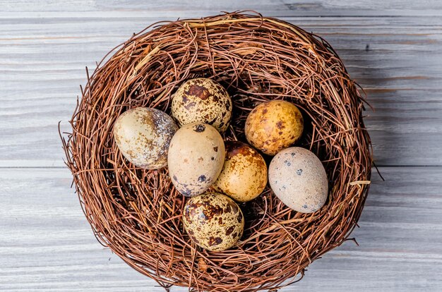 Фото Увлекательный и поэтический взгляд на волшебство природы, раскрывающий деликатное существование птичьего гнезда, украшенного драгоценными яйцами, изящно расположенного на старом деревянном столе.