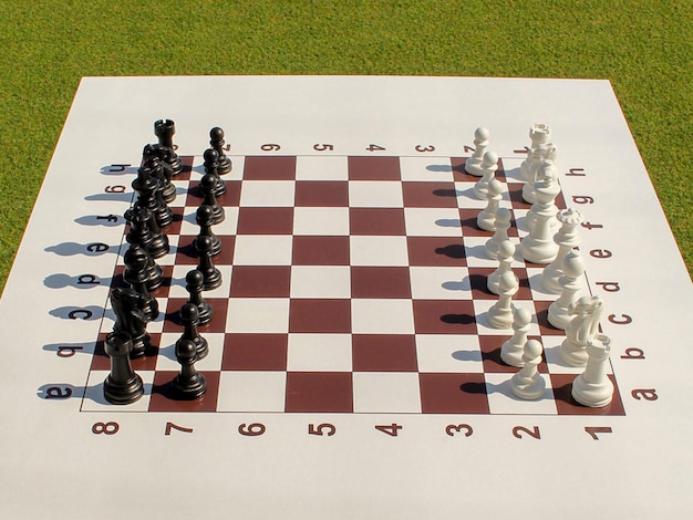 사진 체스말이 있는 체스판