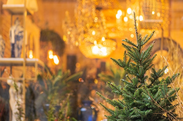 사진 크리스마스 트리는 배경에 크리스마스 나무와 함께 상점에 있습니다.
