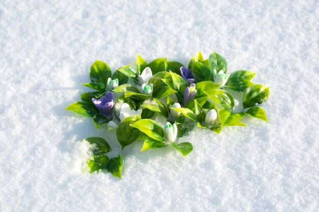 写真 雪の中で手作りの石<unk>で作られた最初の春のスノードロップのクリア