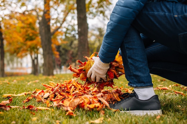 写真 落ち葉を持っている男の手袋をはめた手のクローズアップショット。秋の庭の葉をきれいにします。
