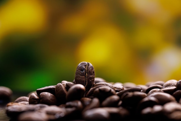 写真 美しい植物の背景にコーヒー豆のクローズアップ ⁇ テーブルの上のコーヒー豆