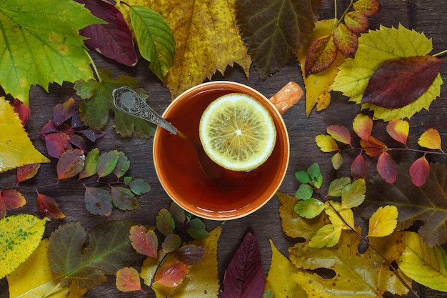 写真 木の表面に色とりどりの紅葉を背景にお茶を一杯
