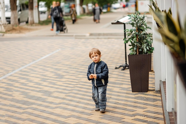 写真 可愛い男の子が緑の夏の公園の草の上を歩いています