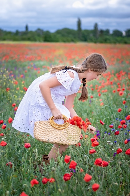 写真 白いドレスを着たおさげのかわいい女の子は、ポピー畑に花を集めます。