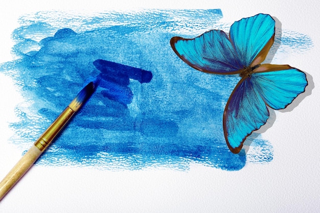 Фото Рисунок бабочки и рисунок синей чернилами.