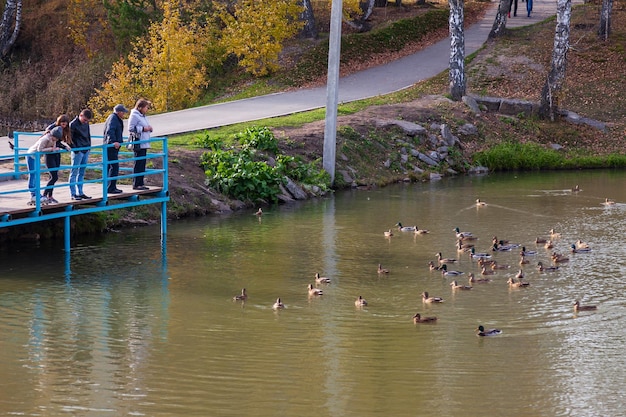 写真 涼しい秋の日に公園でアヒルにパンを投げながら桟橋で餌をやる家族