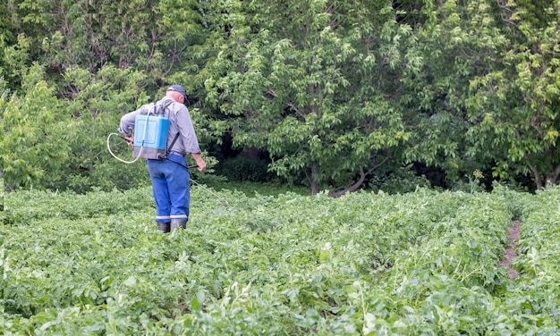 写真 収穫したジャガイモに殺虫剤を散布する農夫 殺虫剤を散布するための個人用保護具を着用した男性の足 ジャガイモの茂みに硫酸銅の溶液を噴霧する男性