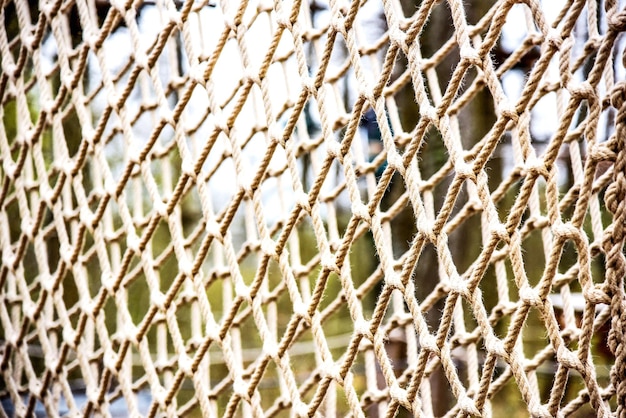 写真 木にぶら下がっている釣り網