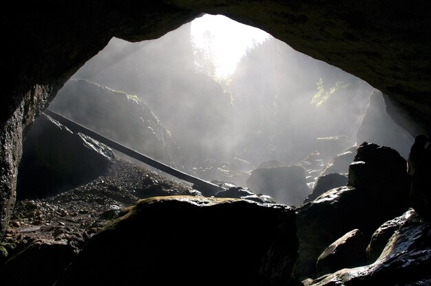 사진 안개가 가득한 어두운 동굴 입구 실루 cetatile ponorului cave padis romania