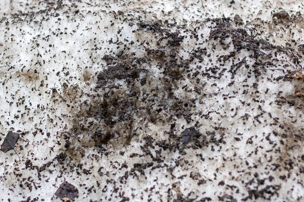 写真 a freezing pile of snow with brown and grey spots resembling a geology pattern