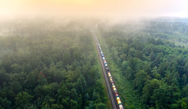 資源を積んだ貨物列車が森の中を貨物を運びます。素晴らしい夏の風景。ネタバレレールから夜明けにぼやけた松の木。
