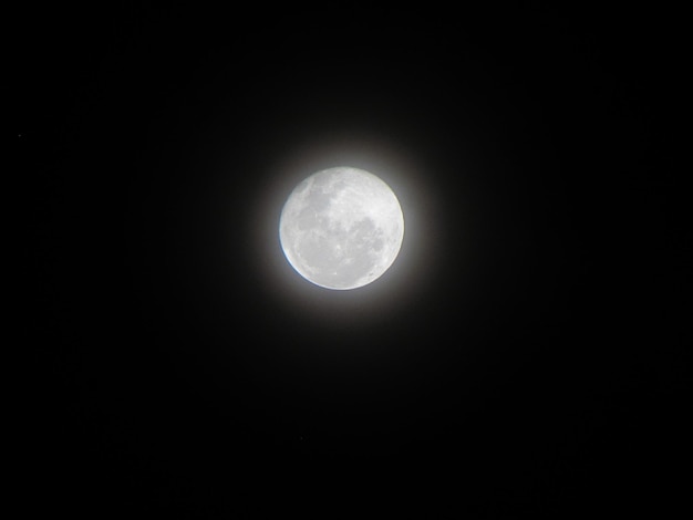 写真 黒い空に満月が見える。