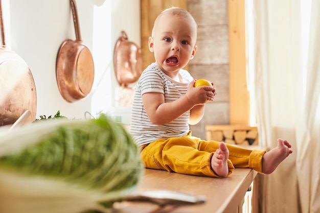 写真 面白い白人の男の子が初めてレモンを試しました