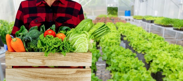 庭師は、さまざまな有機野菜、野菜の庭の背景を持つ木箱を持っています