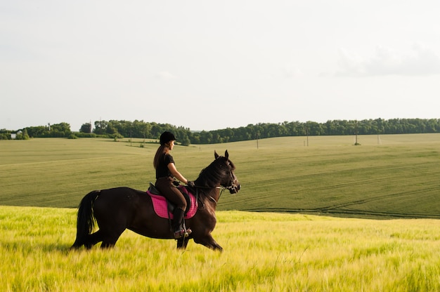 Фото Девушка и молодая спортивная лошадка на природе