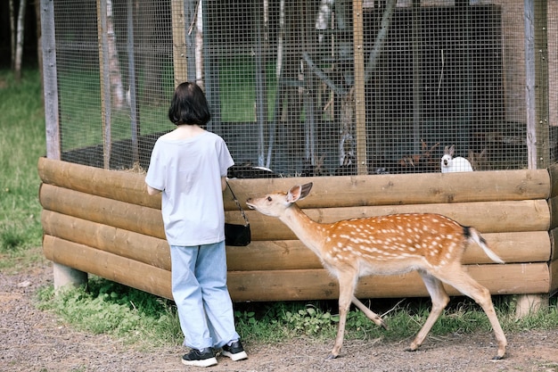 사진 애완 동물원 에서 귀여운 반점이 있는 사 비 를 먹이는 소녀