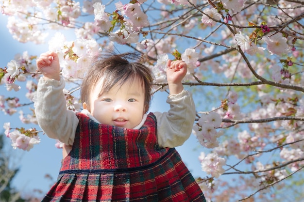 写真 桜の花を幸せに眺める少女