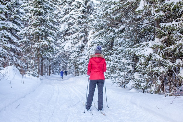 写真 赤いジャケットを着た女の子が冬に雪に覆われた森でスキーに行きます。後ろからの眺め。