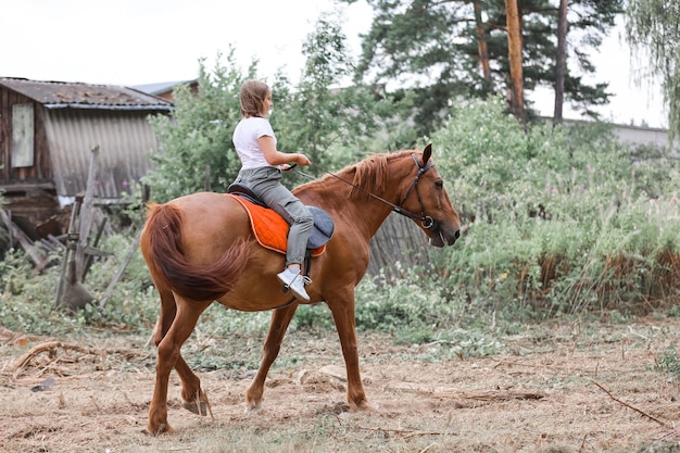 写真 森の中の暑い夏に女の子が馬に乗る