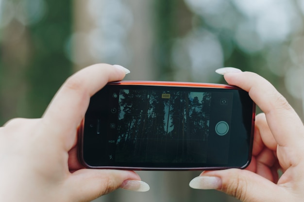 女の子が携帯電話で夏の森の写真を撮る