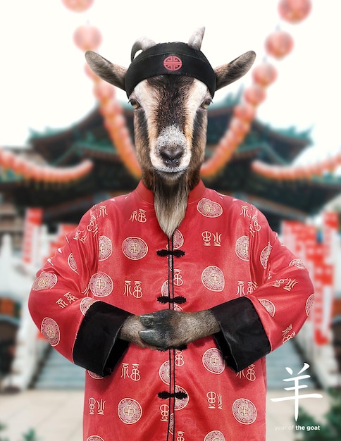 사진 빨간 중국 의상을 입은 염소가 사진을 위해 포즈를 취하고 있습니다.