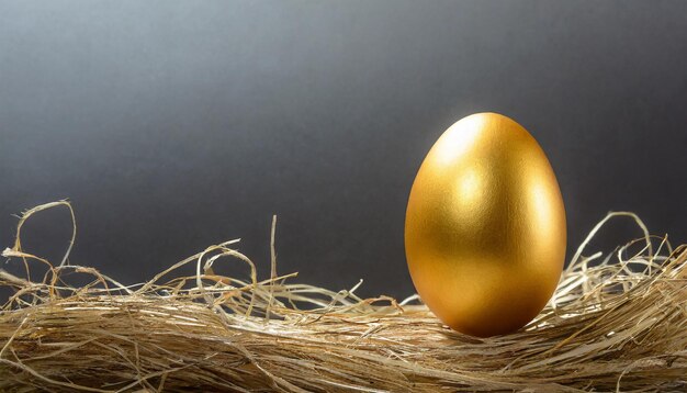 写真 黄金の卵が灰色の背景の巣の上に座っている