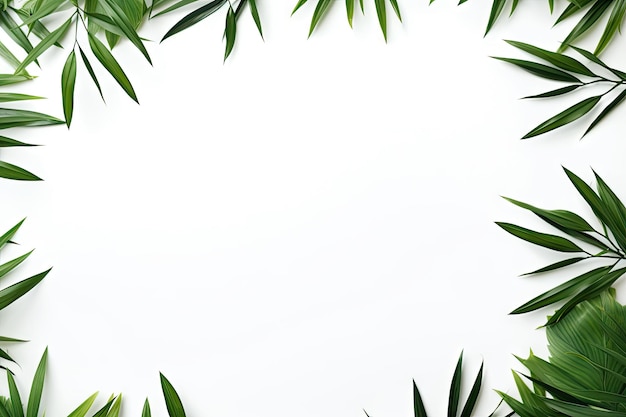 写真 緑の葉と白い紙を禅風の平らなレイアウトにきちんと配置したバムの装飾的な配置