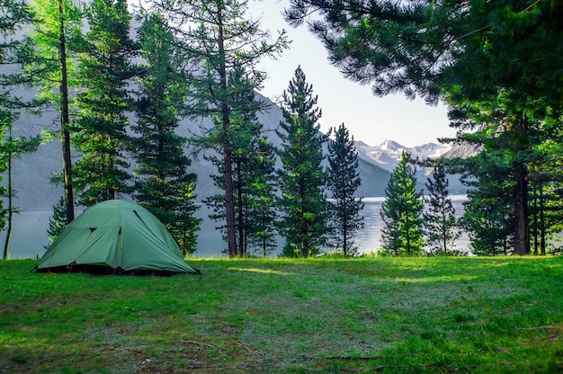 아름 다운 호수 백그라운드에서 숲에서 녹색 텐트. 소나무 숲 아래 캠핑 및 텐트