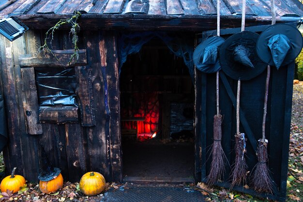 写真 ゴキブリの帽子と掃除器で飾られた 幽霊のいる魔女の家