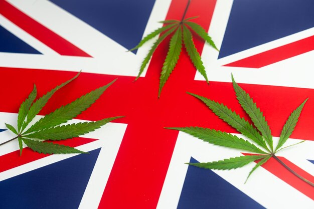 写真 英国国旗の背景に麻の葉イギリスという国におけるマリファナの栽培と使用に関する合法化と法律の変更の概念