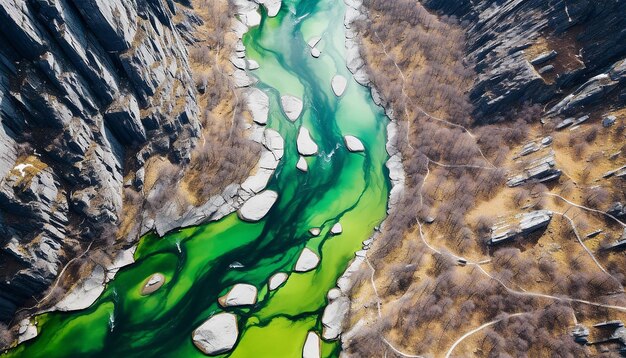 사진 세인트 패트릭스 데이 에 초록색 강 의 고도 촬영