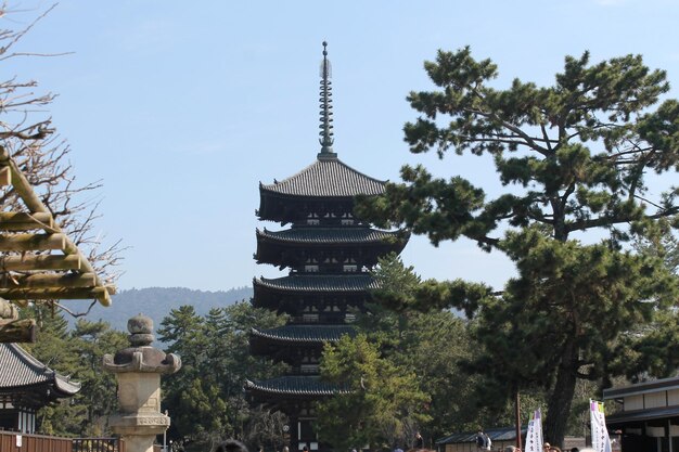 사진 배경 에 있는 큰 일본 탑