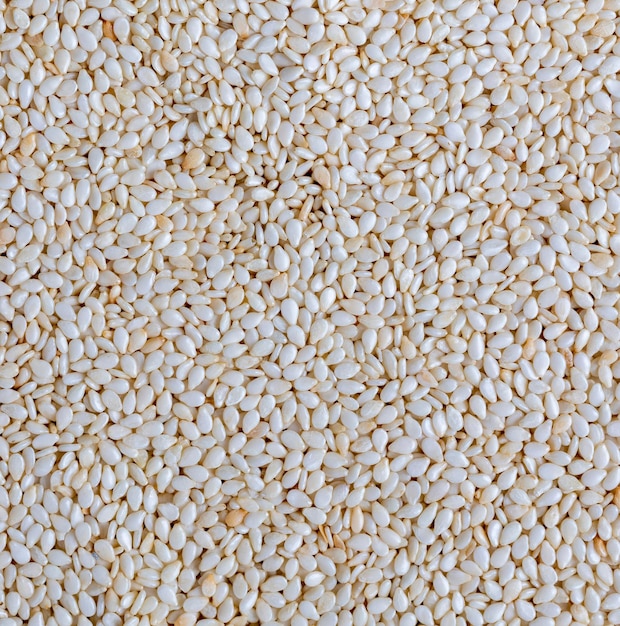 Фото Большое количество белых сушеных семян кунжута