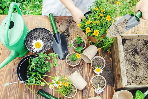 写真 小さな女の子が花を植えています。若い庭師セレクティブフォーカス