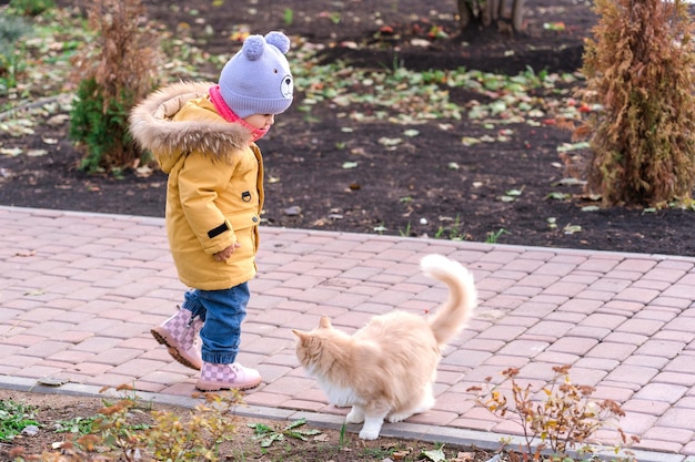 写真 秋の散歩で小さな女の子が野良猫と遊ぶ