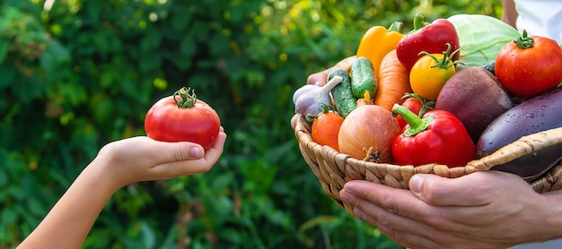 ある男性農家が野菜を手に持ち、子供を抱えています。セレクティブフォーカス。食べ物。